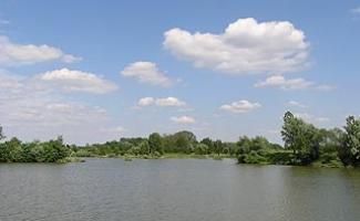 Magyarszecsődi-tó