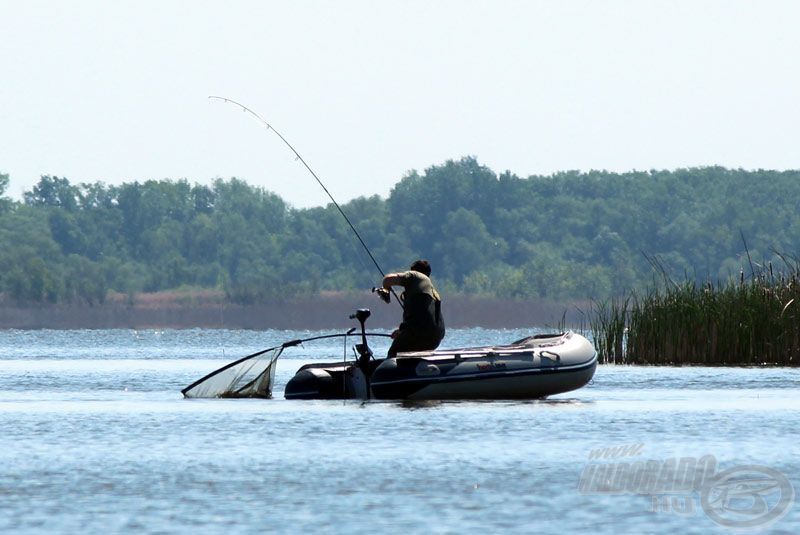 Tisza-tó